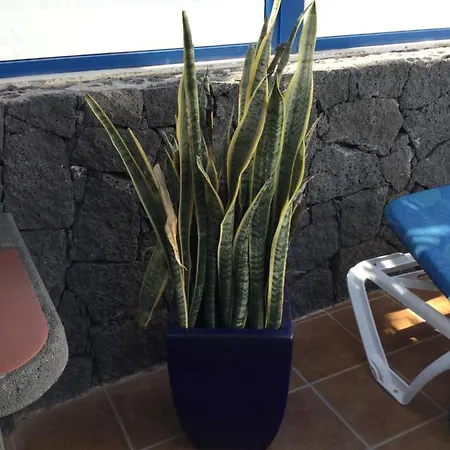 Marina View 2, Marina Rubicon, Lanzarote * بلايا بلانكا